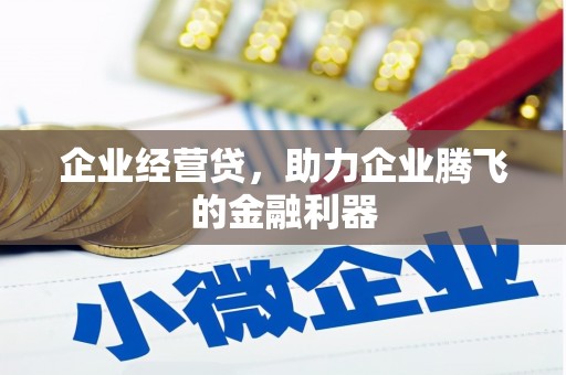 望德堂区企业经营贷，助力企业腾飞的金融利器