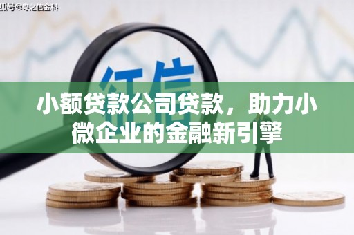 望德堂区小额贷款公司贷款，助力小微企业的金融新引擎
