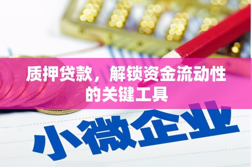望德堂区质押贷款，解锁资金流动性的关键工具