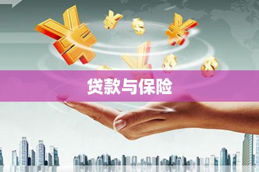望德堂区贷款与保险