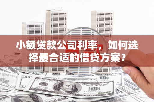 望德堂区小额贷款公司利率，如何选择最合适的借贷方案？