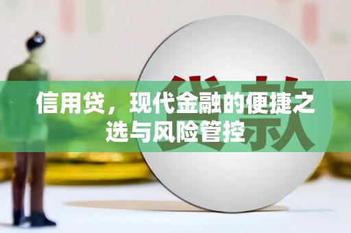 望德堂区信用贷，现代金融的便捷之选与风险管控