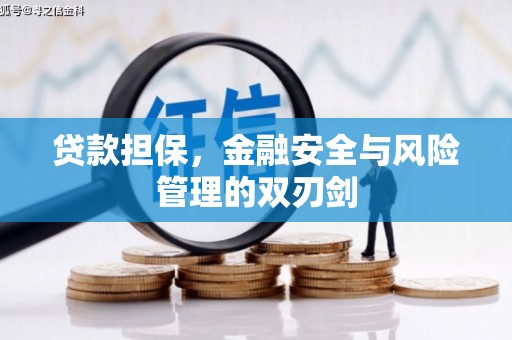 望德堂区贷款担保，金融安全与风险管理的双刃剑