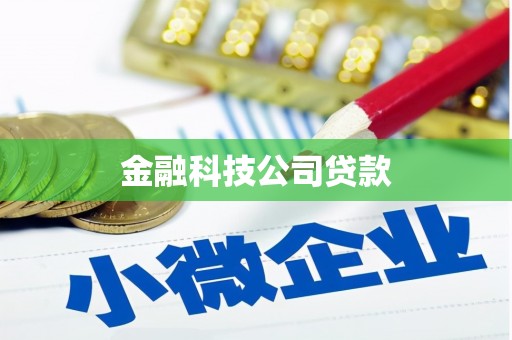 望德堂区金融科技公司贷款