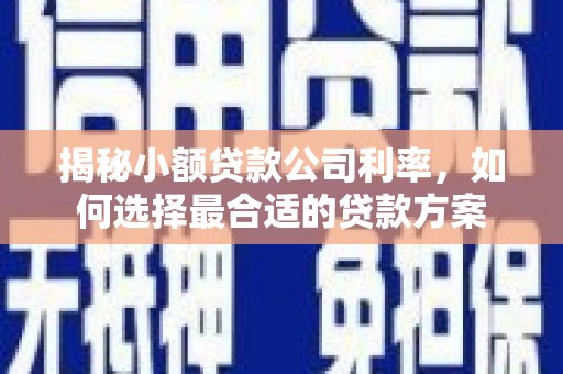 望德堂区揭秘小额贷款公司利率，如何选择最合适的贷款方案