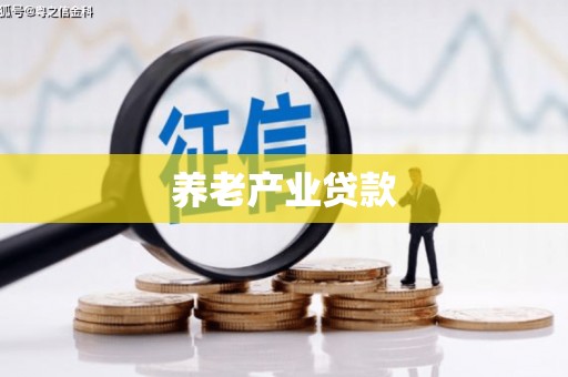 望德堂区养老产业贷款