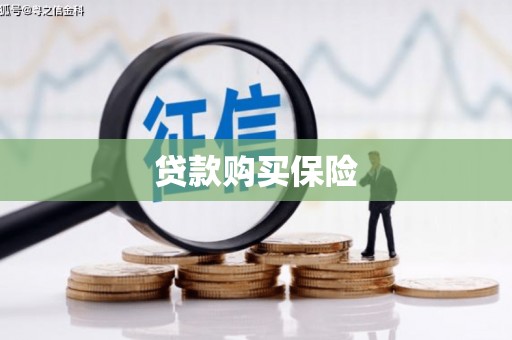 望德堂区贷款购买保险