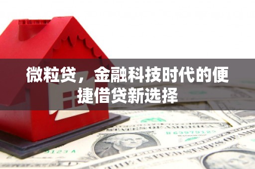 望德堂区微粒贷，金融科技时代的便捷借贷新选择