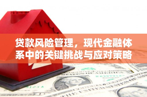 望德堂区贷款风险管理，现代金融体系中的关键挑战与应对策略