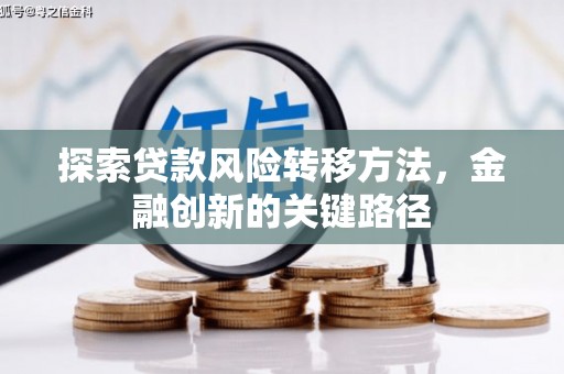 望德堂区探索贷款风险转移方法，金融创新的关键路径