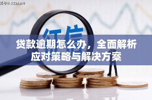 望德堂区贷款逾期怎么办，全面解析应对策略与解决方案