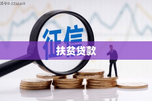 望德堂区扶贫贷款