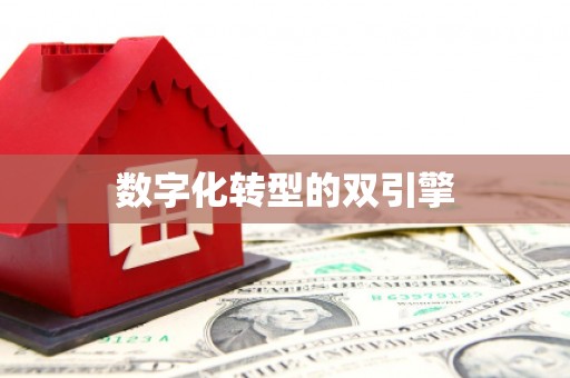 望德堂区数字化转型的双引擎