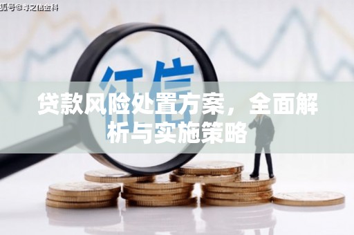 望德堂区贷款风险处置方案，全面解析与实施策略