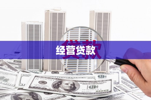 望德堂区经营贷款